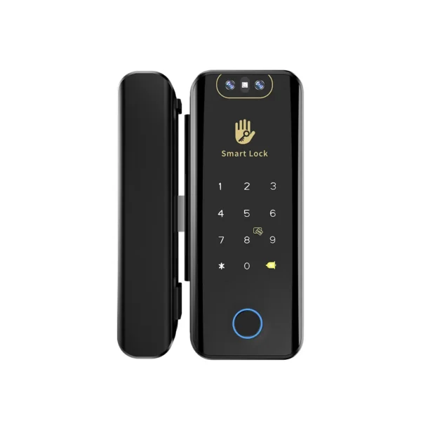 Smart Glass Door Lock