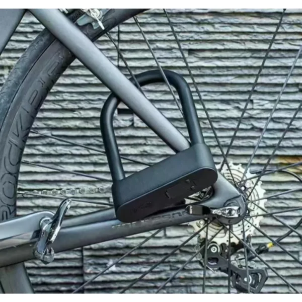 Multi-Purpose Smart Bike Lock