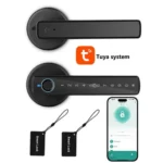 Nice Smart H3 Smart Door Lock